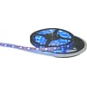 Flexiled Blue / 5M