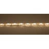 LSI-120WW-3528-IP65-5M