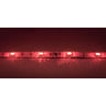 LSI-30RGB-5050-IP65-5M