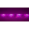 LSI-30RGB-5050-IP65-5M