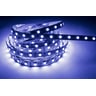 LSI-60RGB-5050-IP20-20M